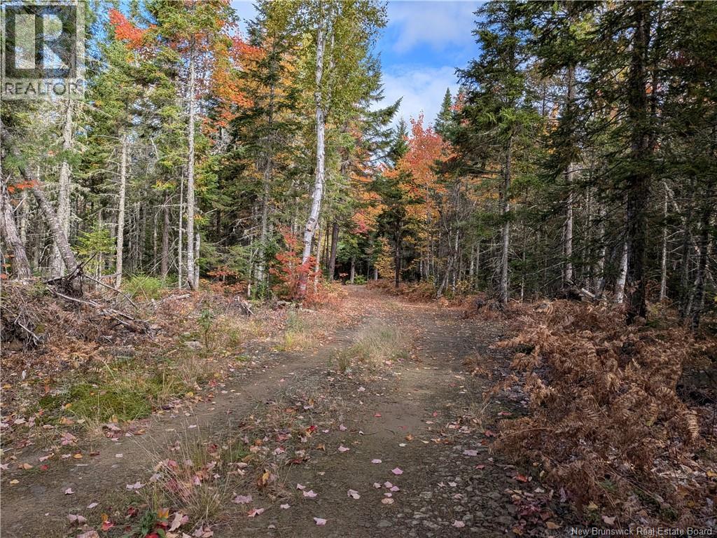 00 Highway 11, Redmondville, NB E1N 5C5