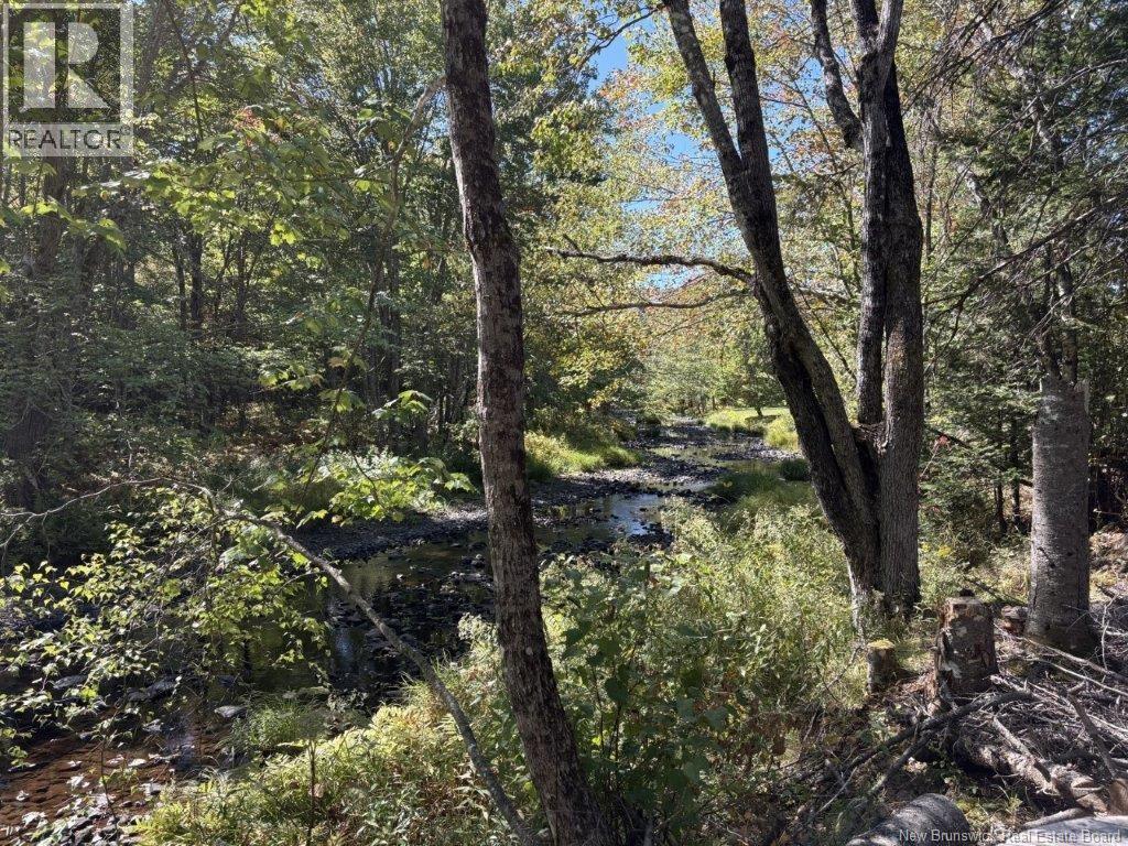 309 Oleary Rd, Beaver Dam, NB E3B 9K4