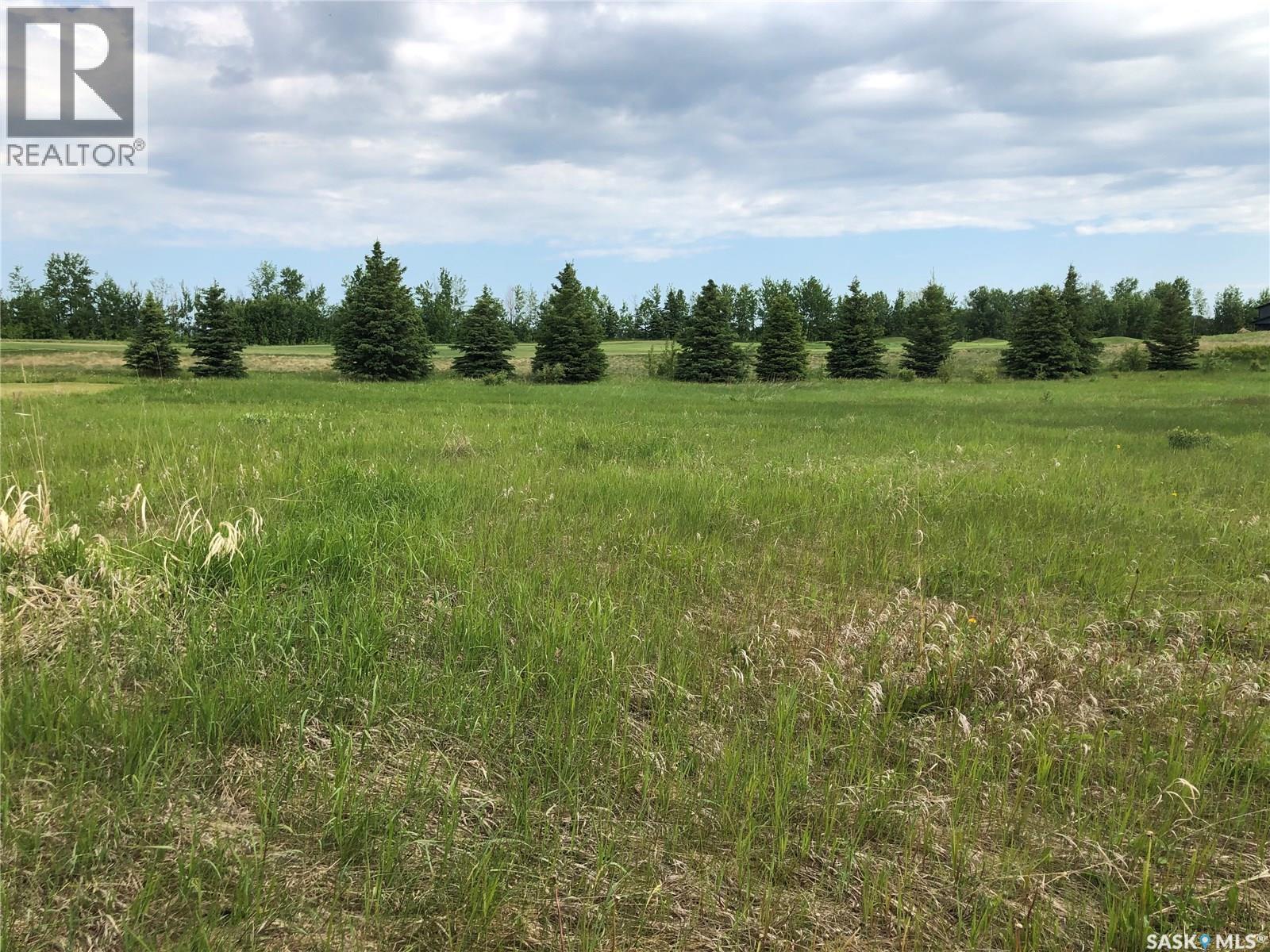 19 Northern Meadows Way, Goodsoil, SK S0M 1A0