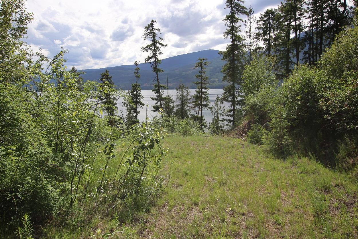 Lot B Highway 23, Nakusp, BC V0G 1R1 MLS 2471621 Houseful