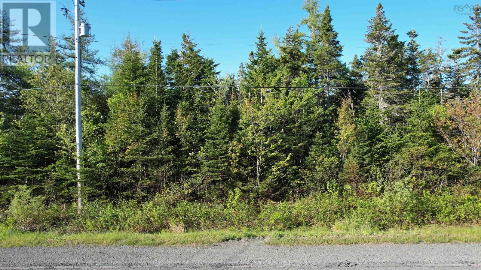 Birch Grove Road, Port Morien, NS B1B 1J3