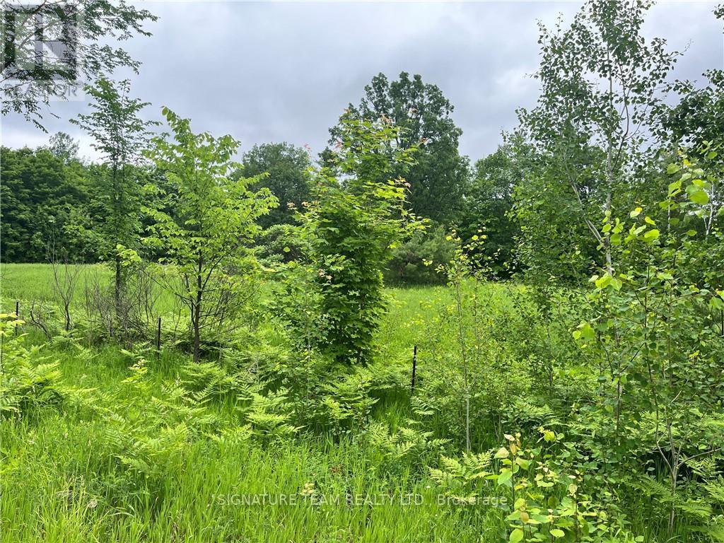 1 Grants Settlement Road, Whitewater Region, ON K0J 1K0