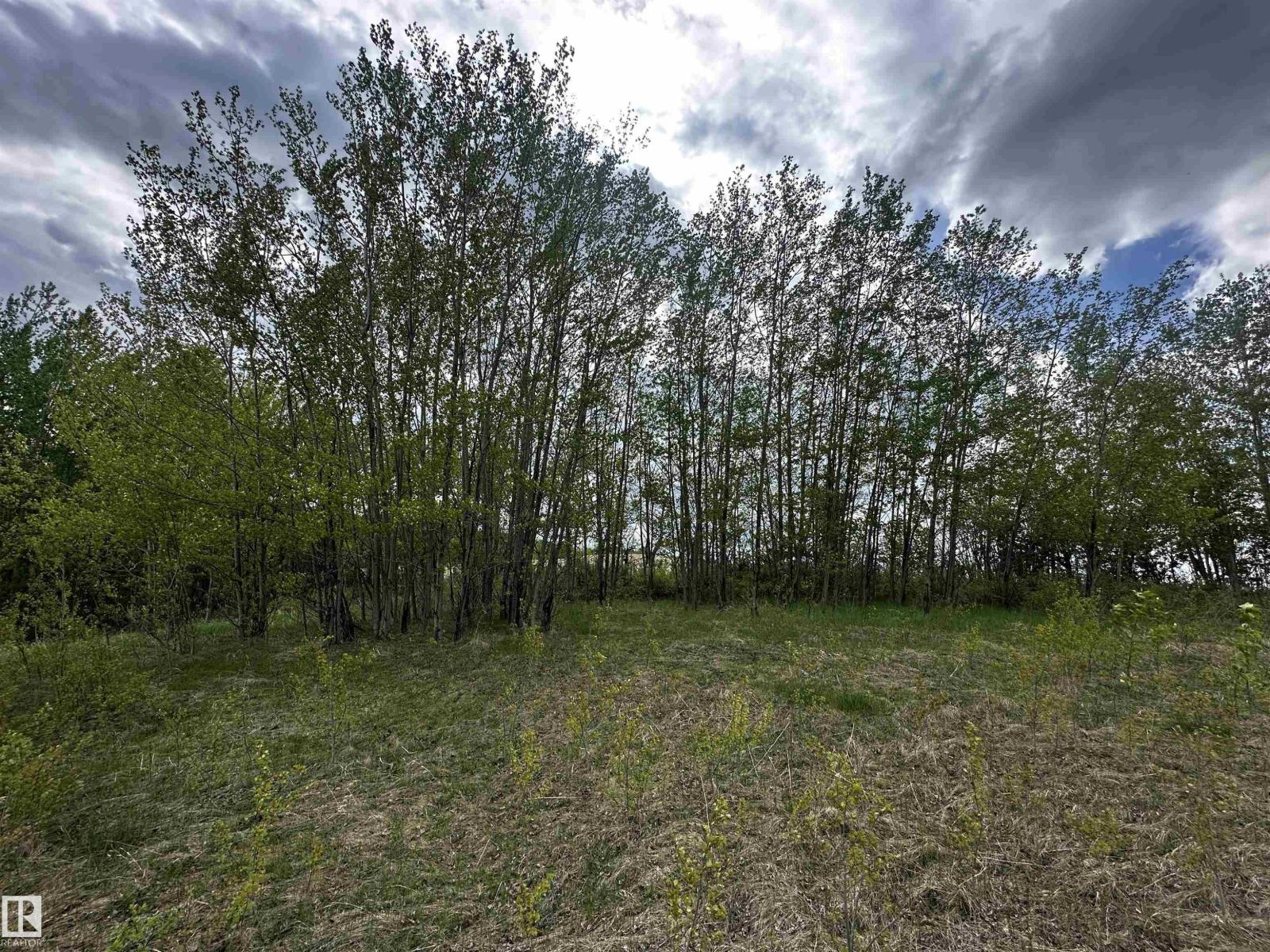 53120 Range Rd 15 #31, Rural Parkland County, AB T0E 0H0