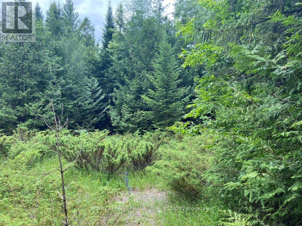 0 Barcroft Rd, Trent Lakes, ON K0L 1J0