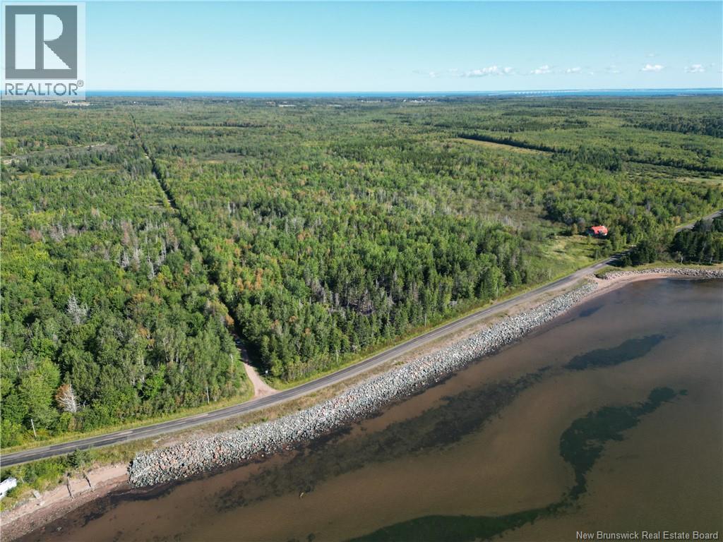 Lot Route 960, Cape Spear, NB E4M 1S1