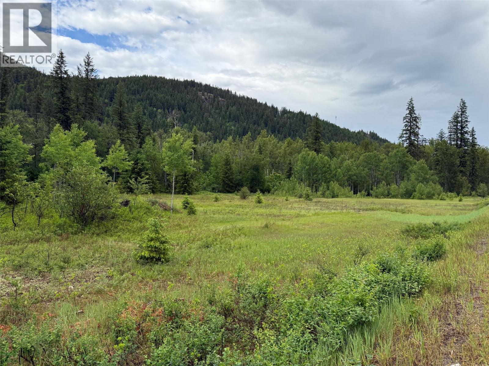 2128 Blackwater Rd, Clearwater, BC V0E 1N0