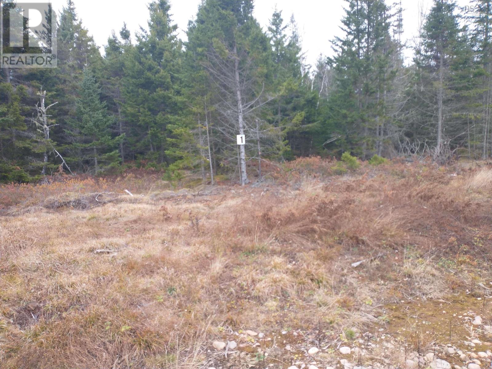 Lot 1 Dance Hall Lane, Portapique, NS B0M 1B0