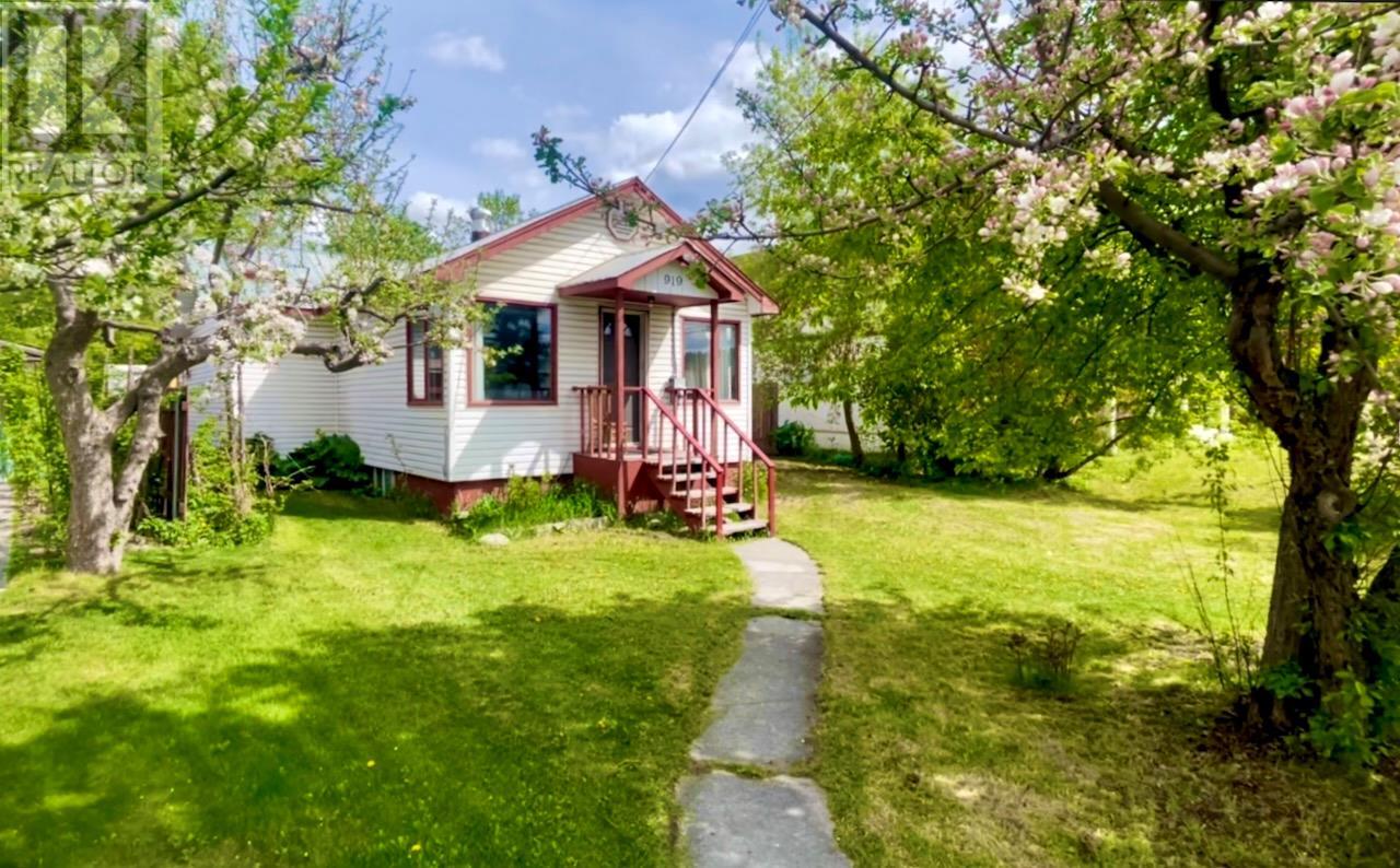 919 10th Street South, Golden, BC V0A 1H0