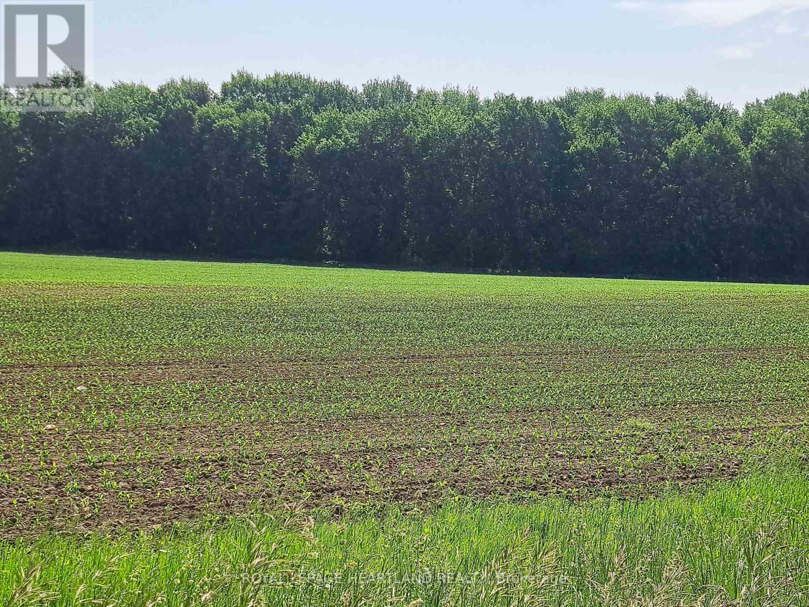74018 Babylon Line, Bluewater, ON N0M 2T0