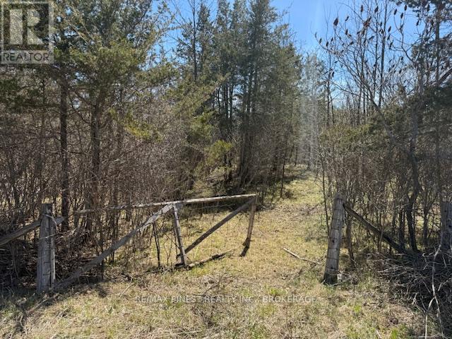 580 Love Rd, Loyalist Lennox And Addington - South, ON K0H 2H0