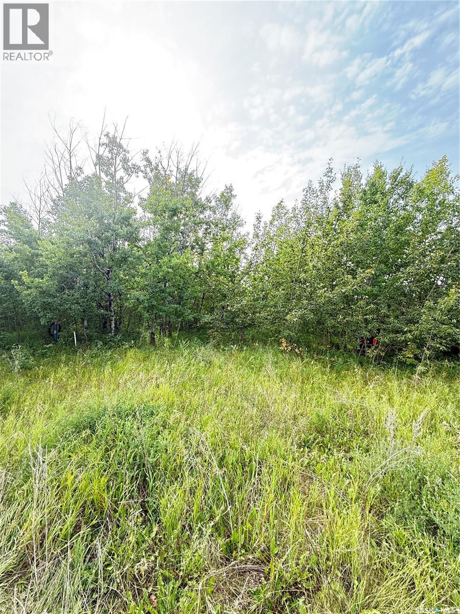 Lot 4 Wakonda Heights, Hoodoo Rm No. 401, SK S0K 4P0