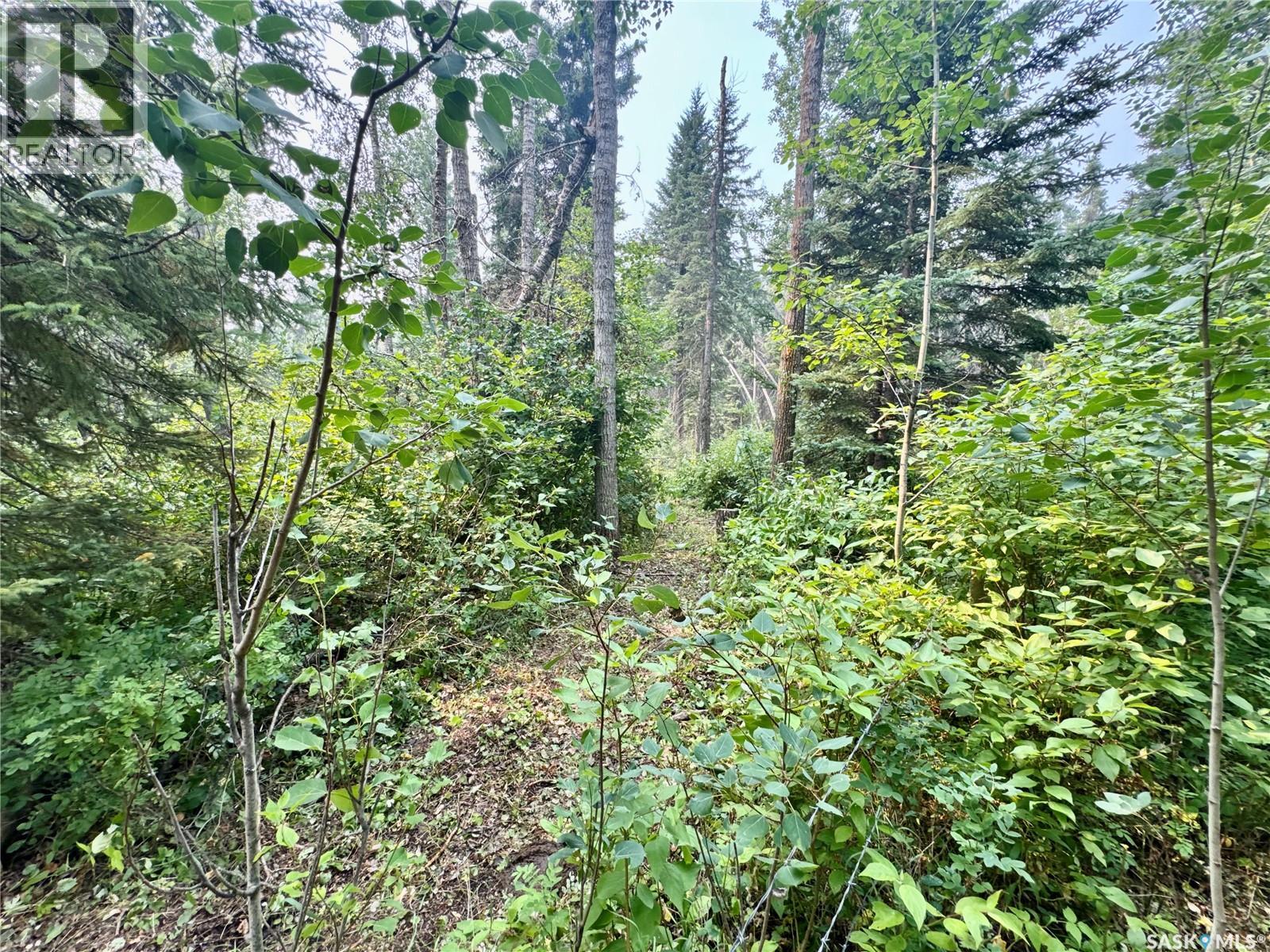 Rickard Acreage Ranch, Livingston Rm No. 331, SK S0A 2Z0