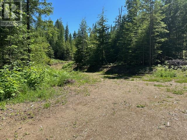 Lot A Highway 31, Kaslo, BC V0G 1M0