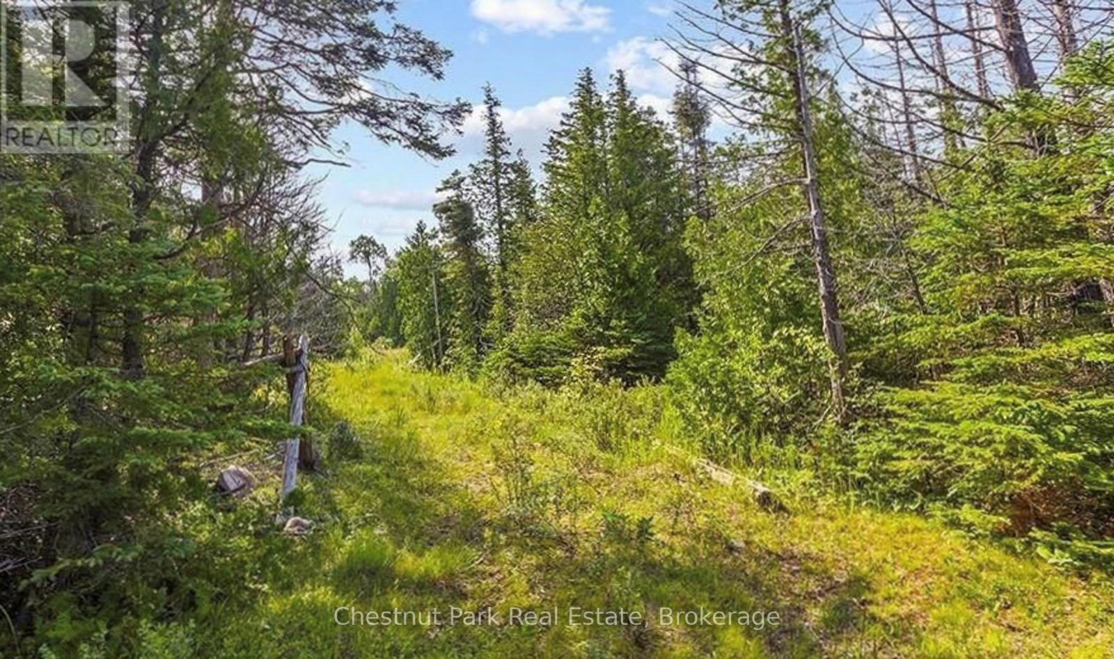 205 East Rd, Northern Bruce Peninsula, ON N0H 1W0