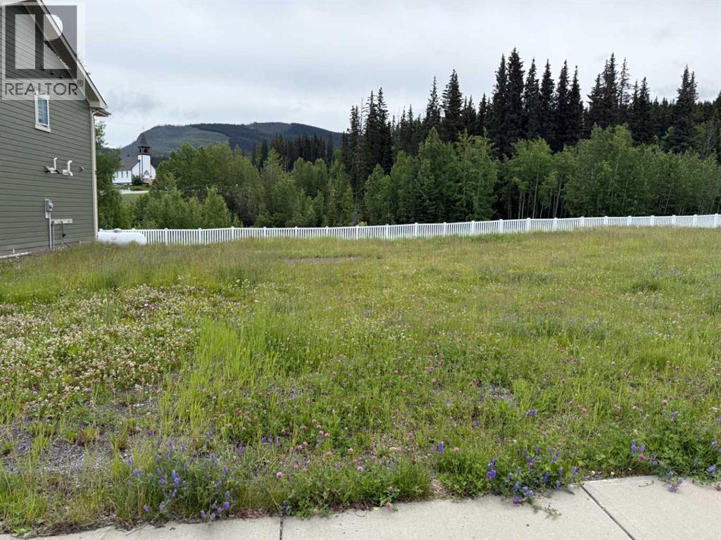 339 Elizabeth Ave, Nordegg, AB T0M 2H0