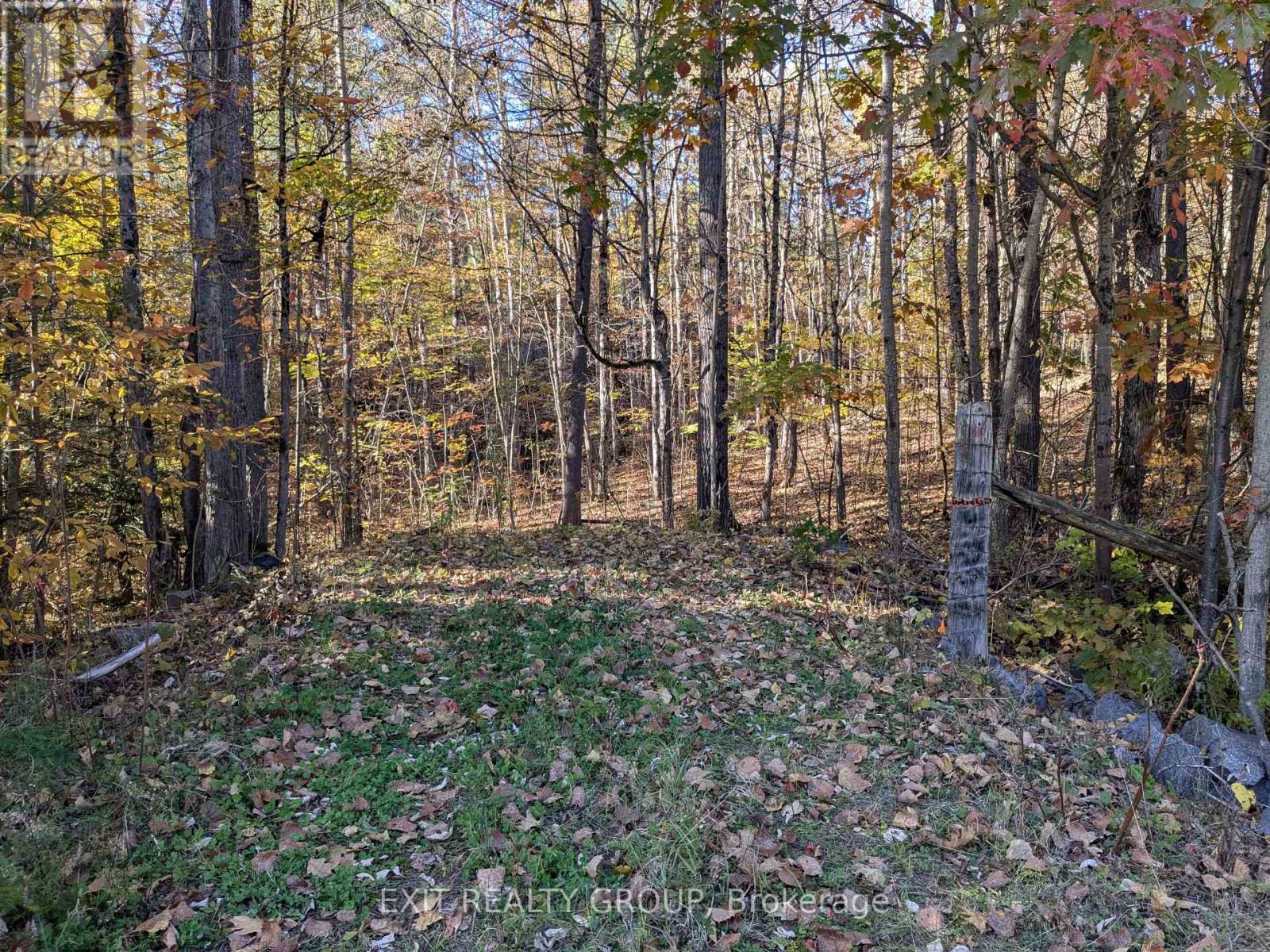0 Flinton Rd, Tweed Elzevir Twp, ON K0K 3J0