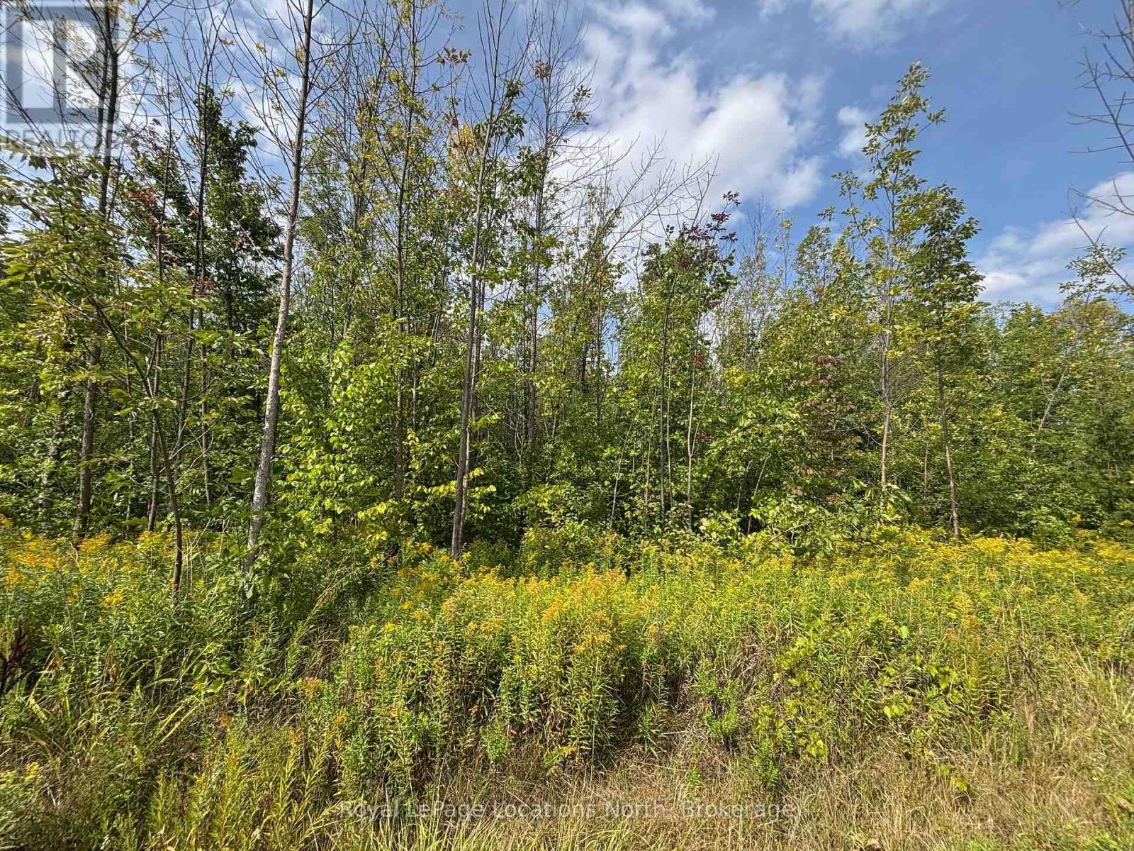 0 Cedar Ave, Meaford, ON N4L 1W5