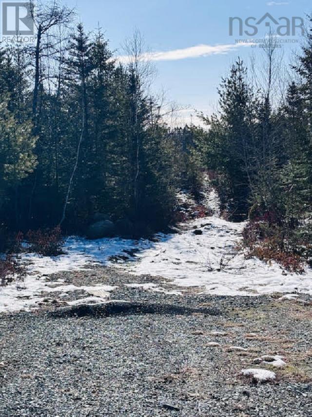Lot F1 Highway 331, Petite Rivire, NS B4V 5Z3