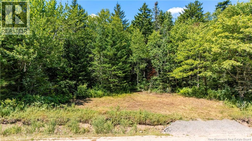 Woodlot Route 935, Rockport, NB E4K 3N1