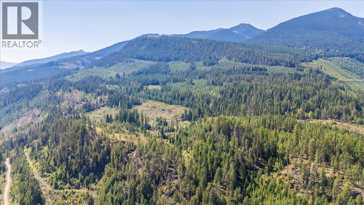 Dl 591 Cody Cs Fsr Avenue, Ainsworth, BC V0G 1A0