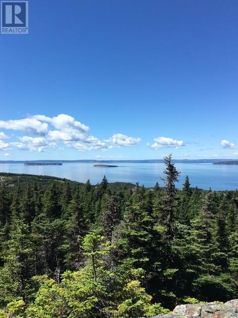 160-182 Moonlight Dr, Paradise, NL A1L 3V5