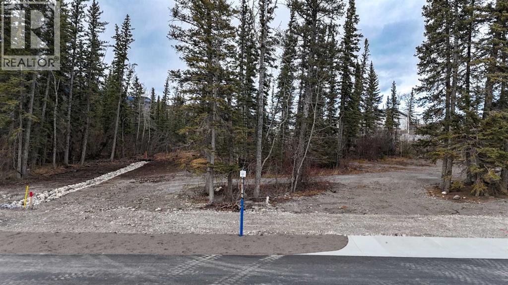 5 Bagley Pass, Rural Bighorn No. 8 M.d. Of, AB T0L 2C1