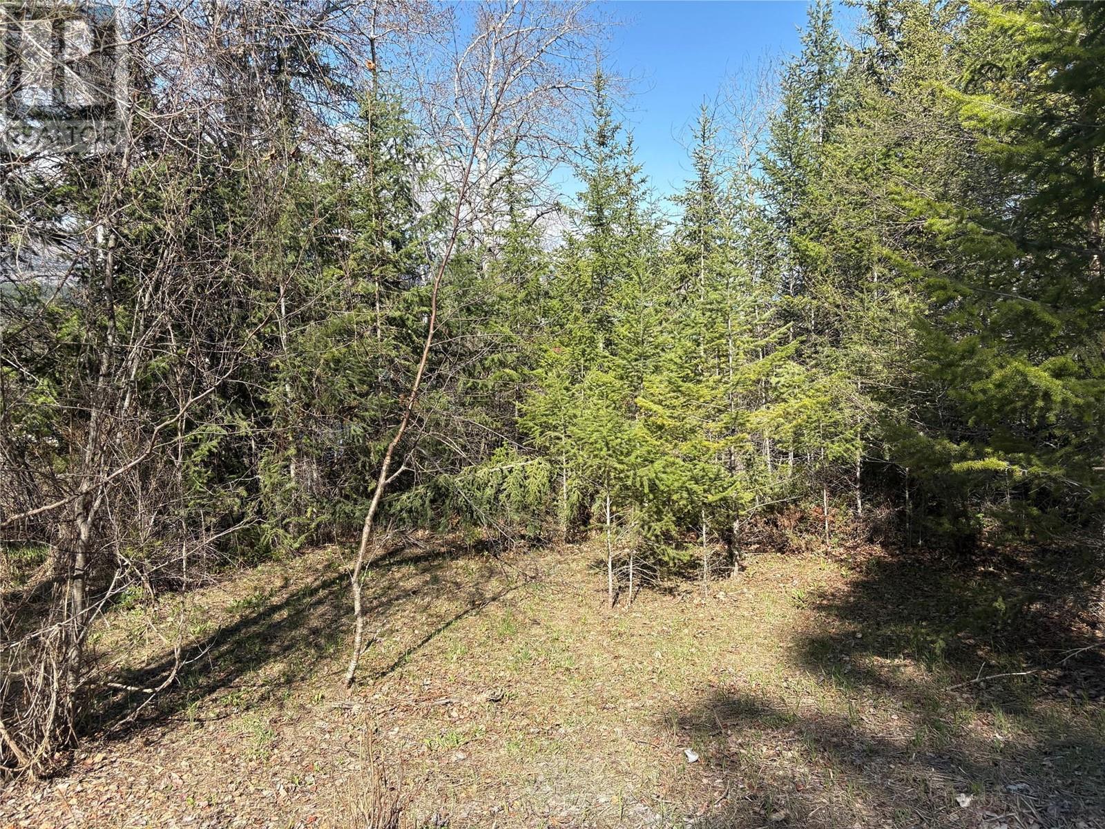 5185 Hot Springs Rd, Fairmont Hot Springs, BC V0B 1L1