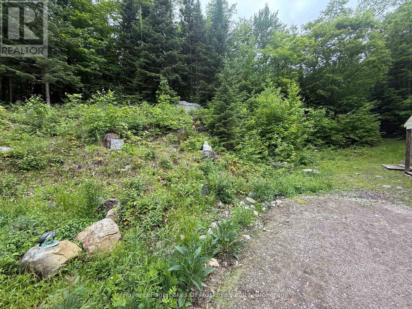 1118 Stoney Rd, Ryerson, ON P0A 1C0