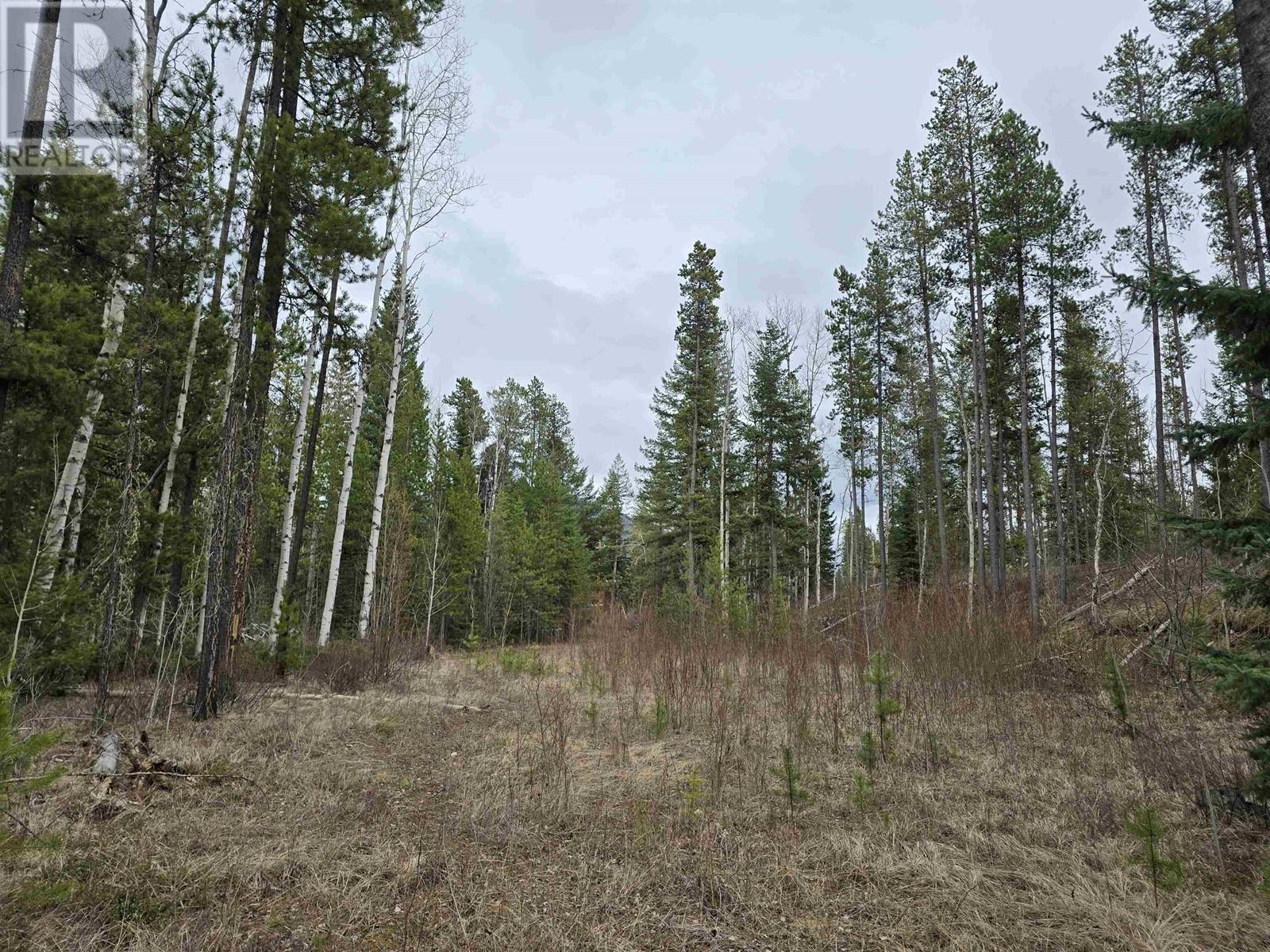 Valemount, BC homes for sale & real estate listings Houseful