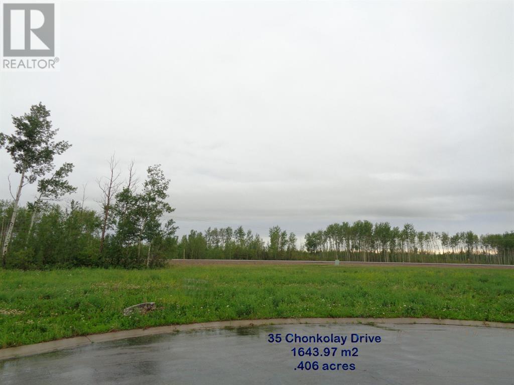 35 Chonkolay Dr, High Level, AB T0H 1Z0