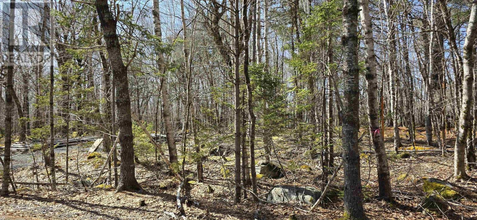 69 Sparkling Spring Ln, Queens, NS B0T 1E0