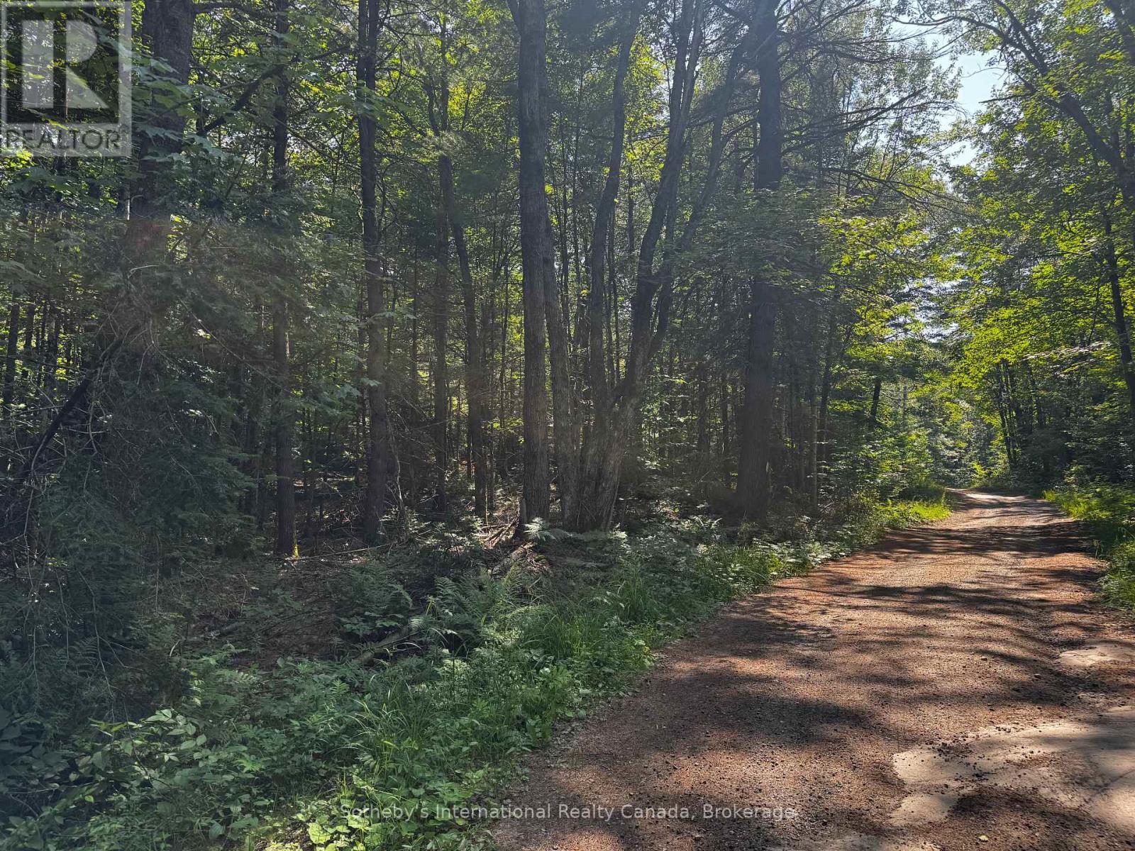 0 Kirk Line, Bracebridge Macaulay, ON P1L 0A1