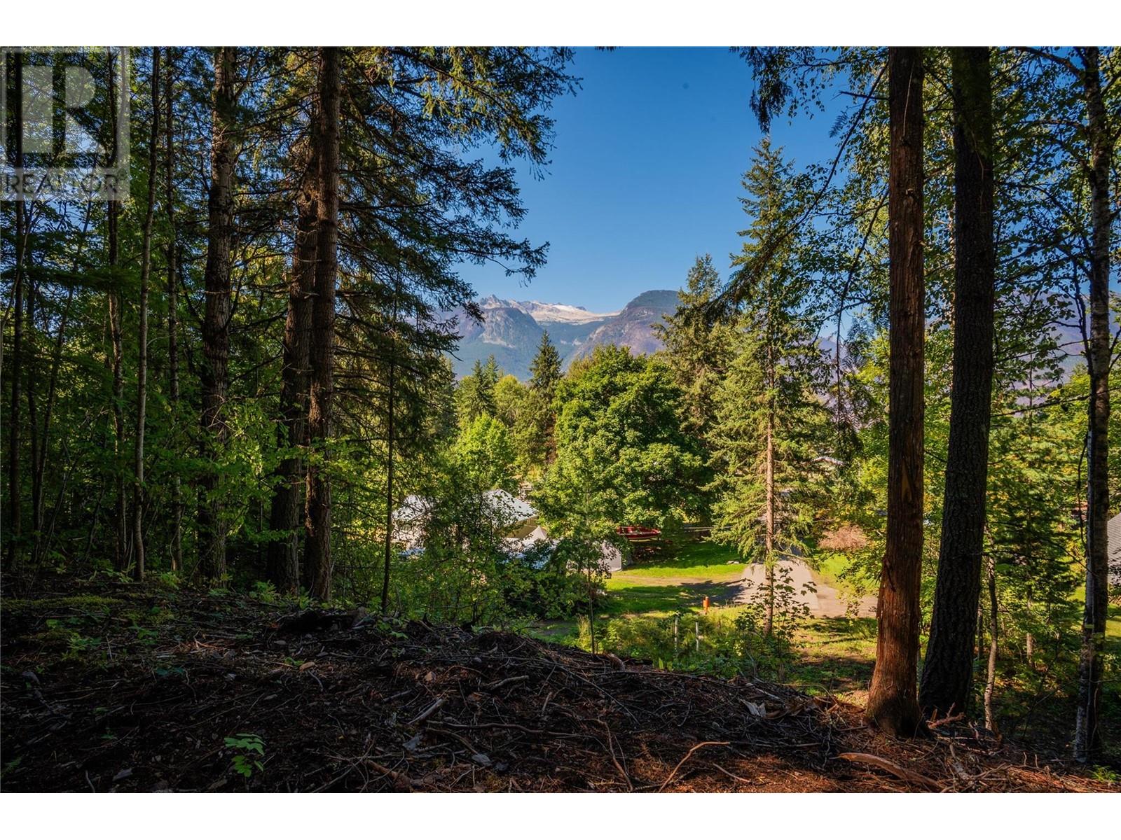 1141 Denver Siding Rd E, New Denver, BC V0G 1S0