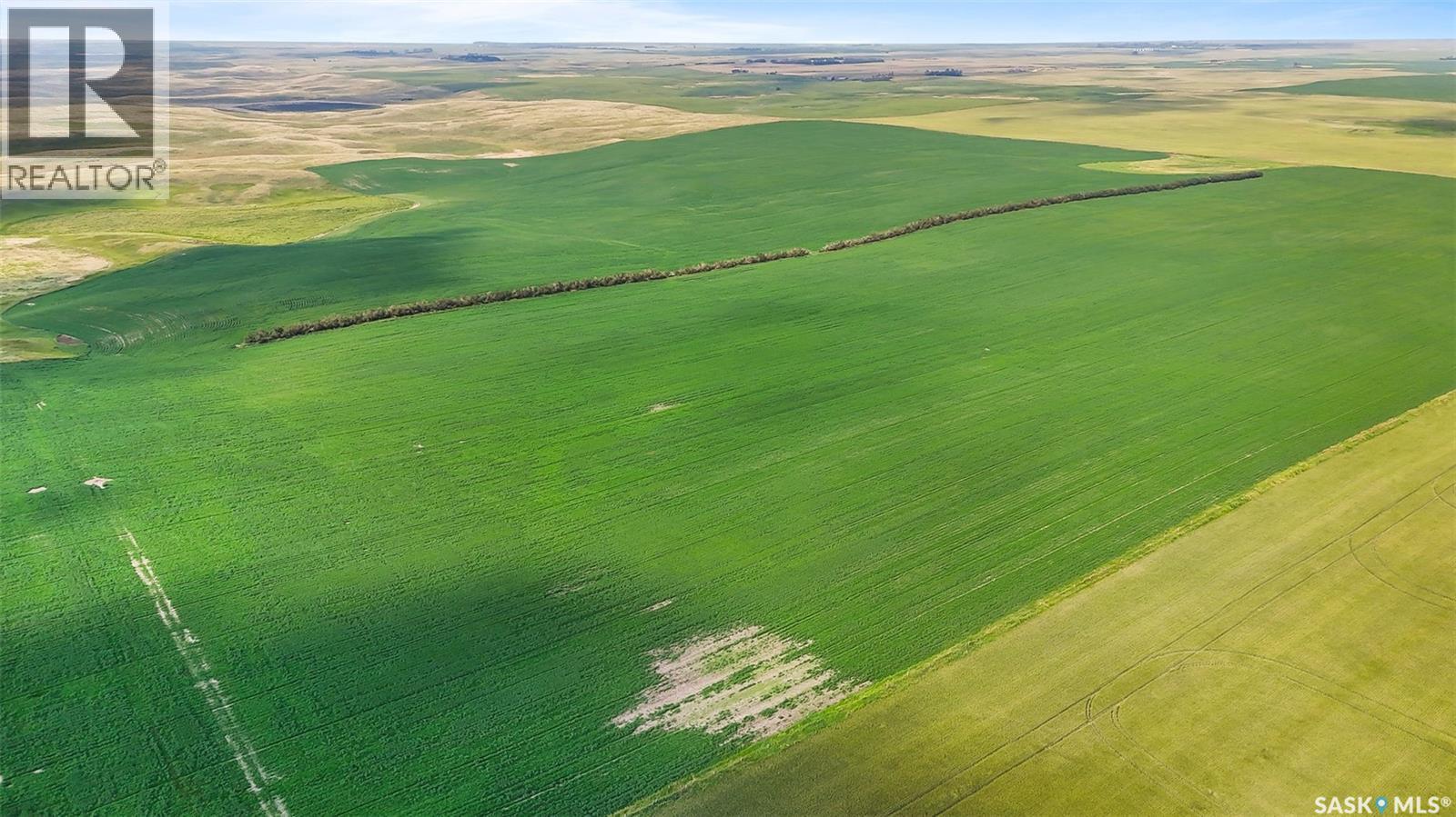 5 Quarters Grainland Near Pangman, Norton Rm No. 69, SK S0C 2C0