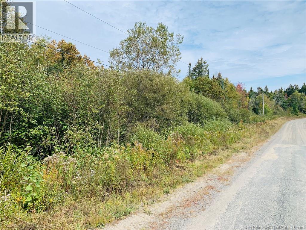 86-42 Hutchins Rd, Welshpool, NB E5E 1H1