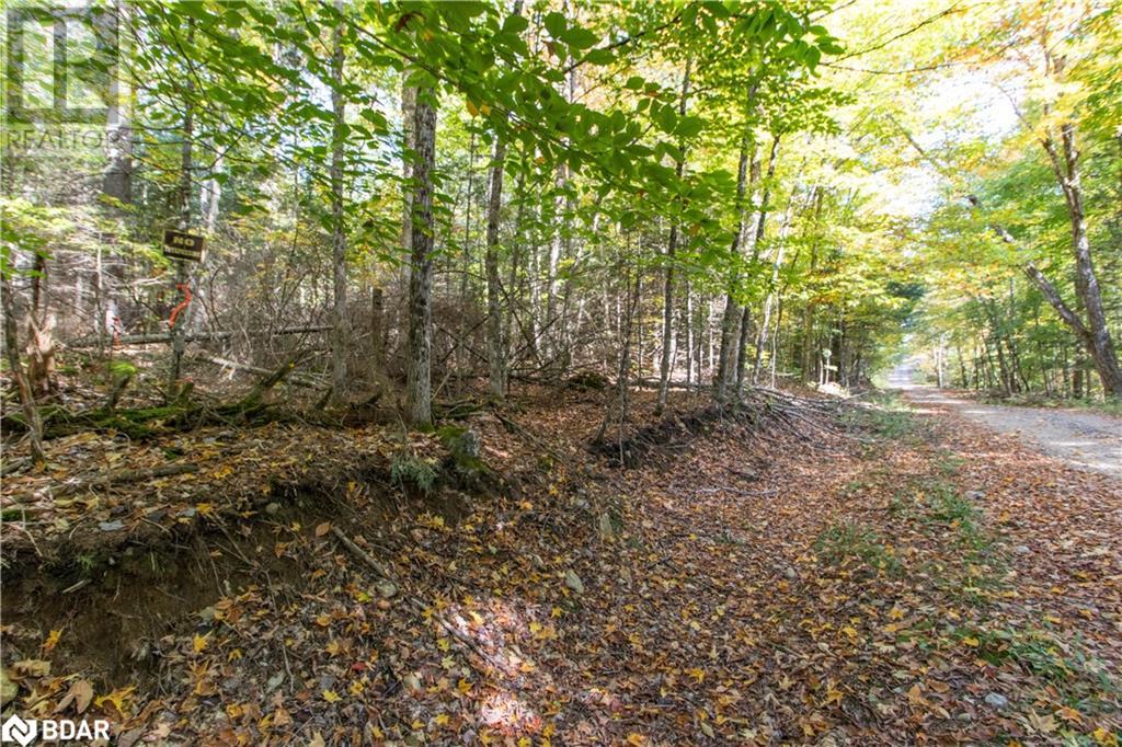 0 Lynx Lake Rd, Huntsville, ON P1H 2J3