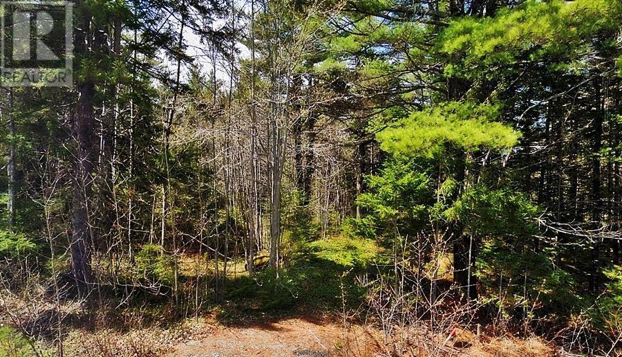 Mount Pleasant Road, West Lahave, NS B0R 1G0