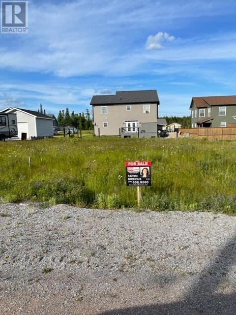 46 Grace Ave, Deer Lake, NL A8A 0B6