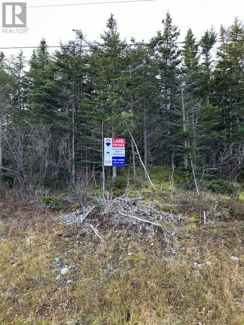 59-77 Main Rd, Hearts Content, NL A0B 1Z0