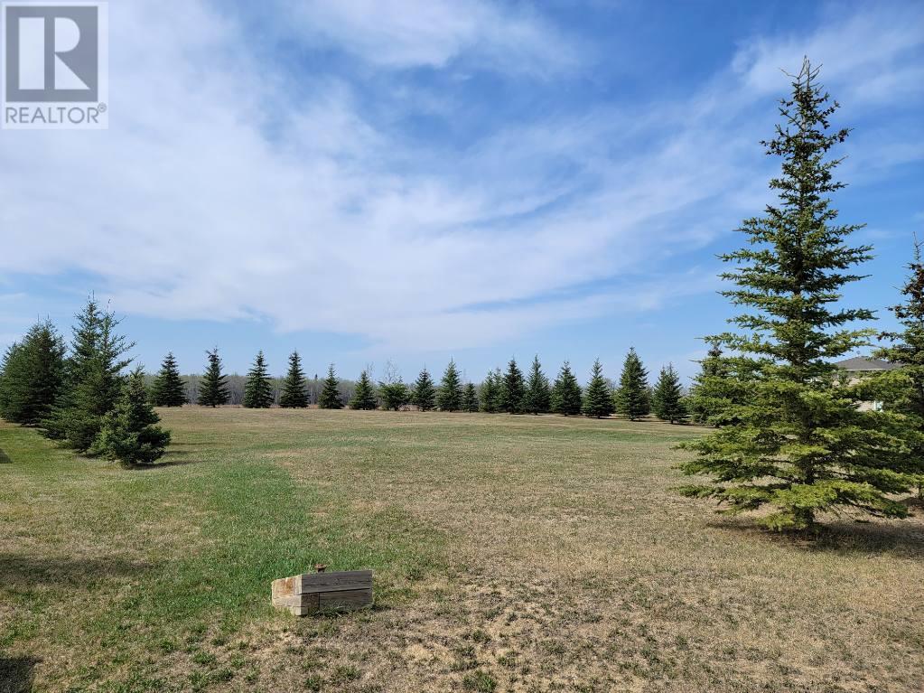 Lot 4 Tower Road, Athabasca, AB T9S 0B8