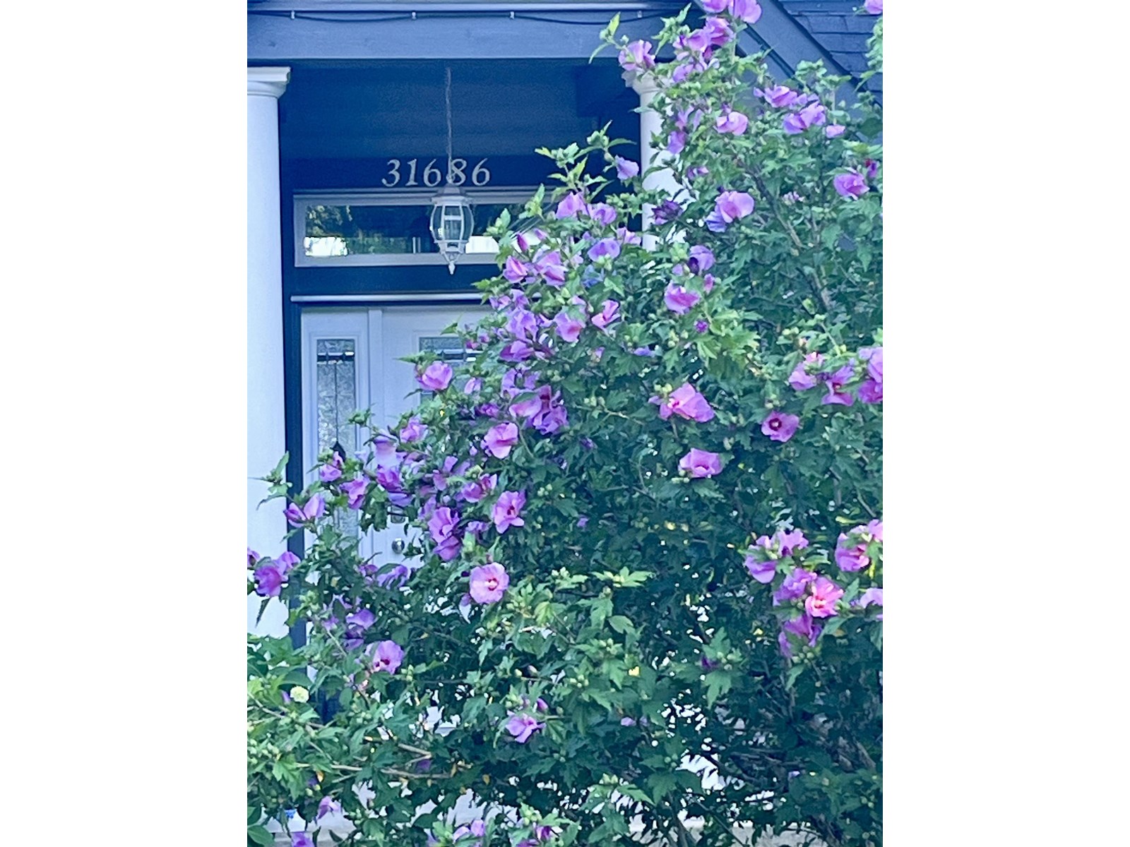 31686 Bench Ave, Mission, BC V4S 1E6
