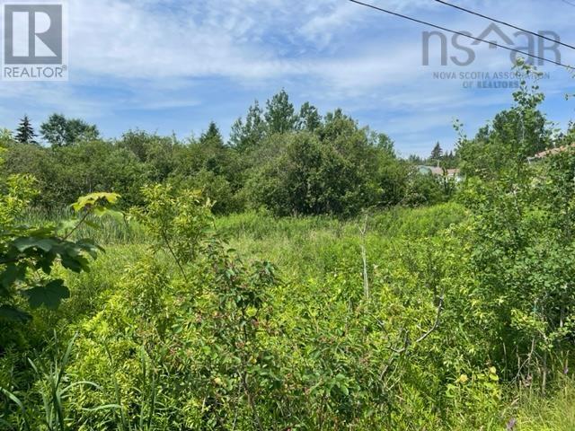 18 Hilltop Cres, Baddeck, NS B0E 1B0