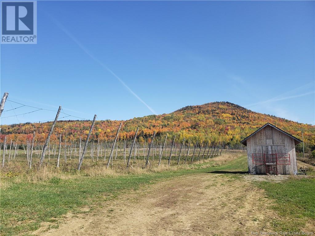 116 Maplehurst Rd, Maplehurst, NB E7J 1S1