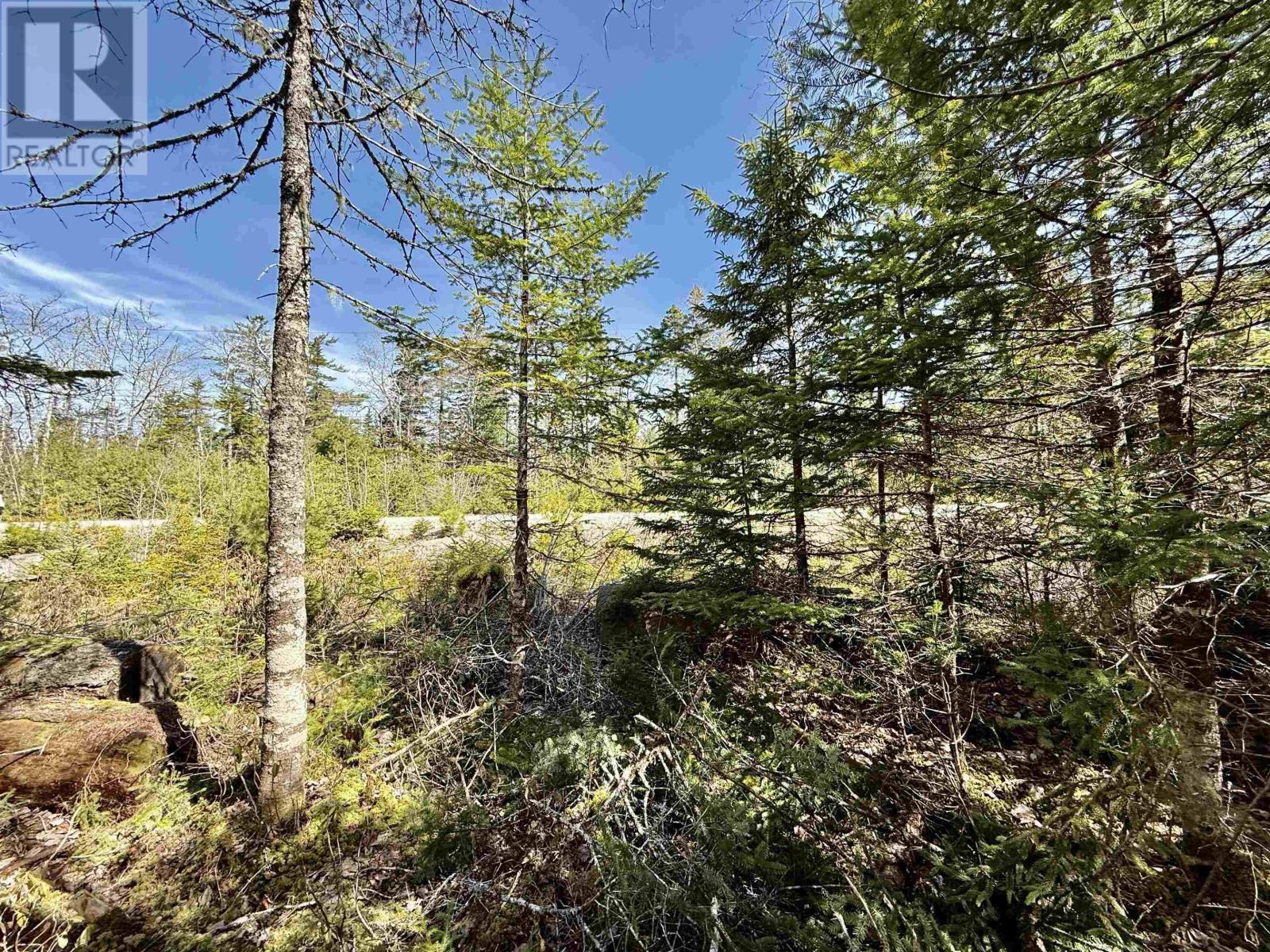 32 Dynasty Court, Sherwood, NS B0J 1J0