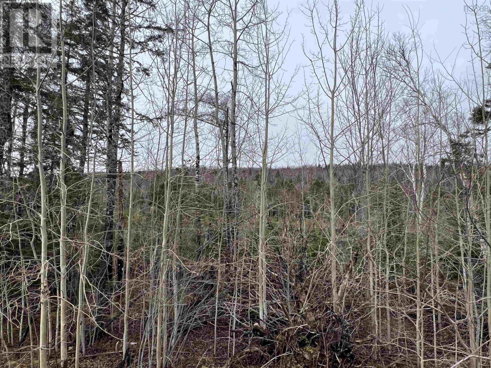Leitches Creek Road, North Sydney, NS B2A 3Y9
