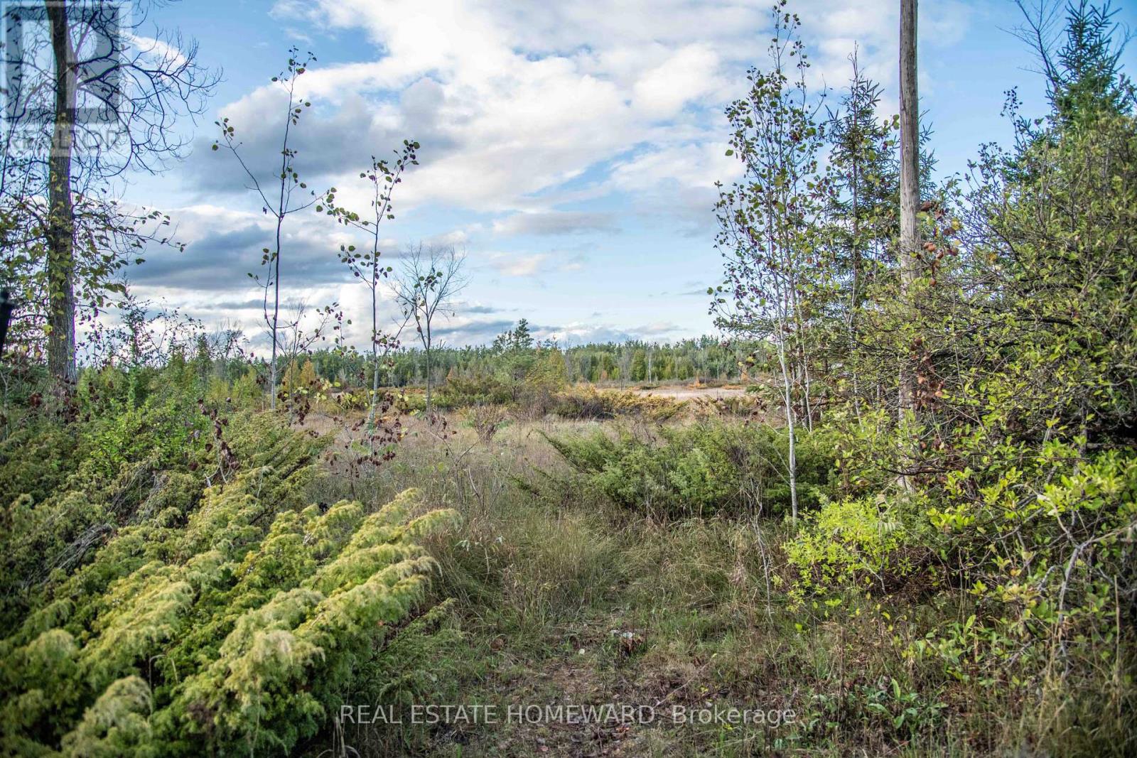 256 Mcguire Beach Rd, Kawartha Lakes, ON K0M 2B0