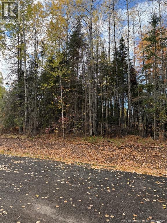 5 Karen Ct, Salisbury, NB E4J 2N3