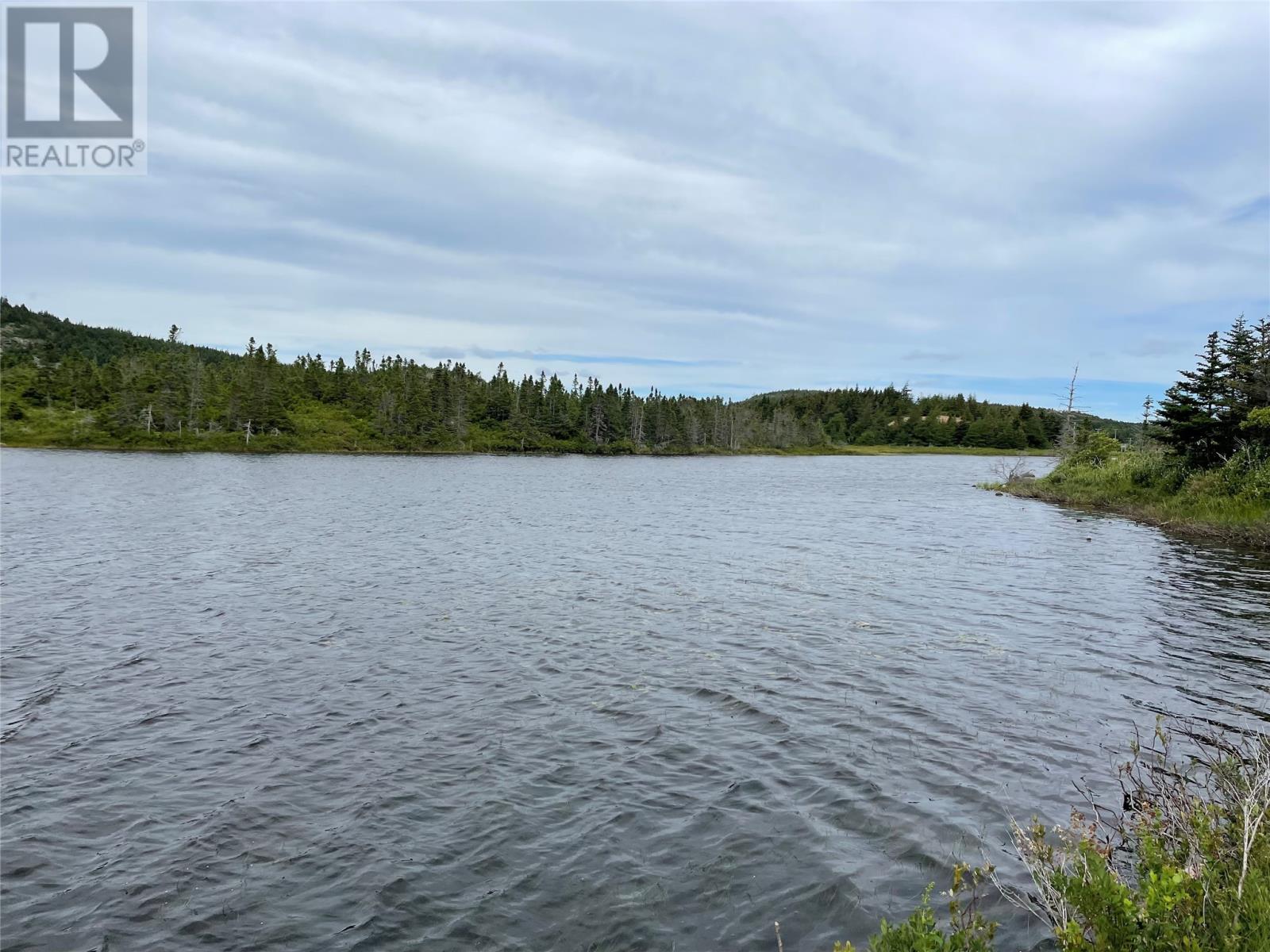 37-41 A Conception Bay Hwy, Harbour Main-Chapel's Cove-Lakeview, NL A0A 1V0