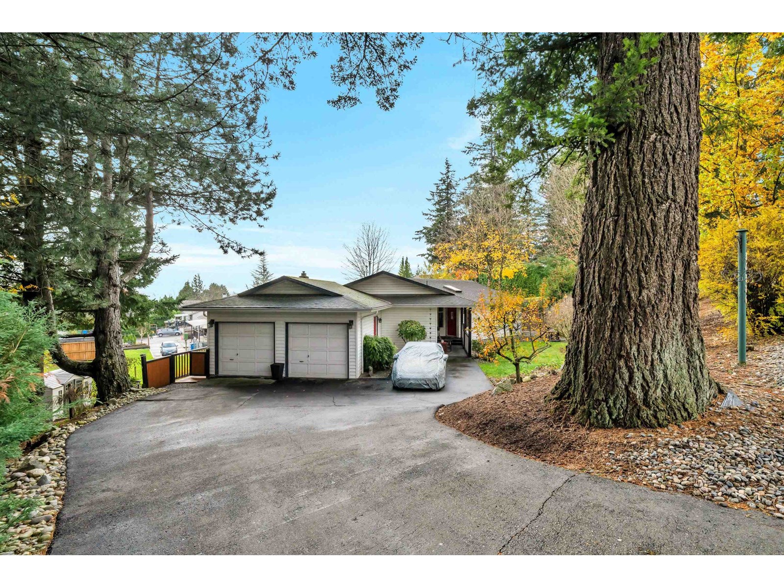 34386 Fraser St, Abbotsford, BC V2S 6T8