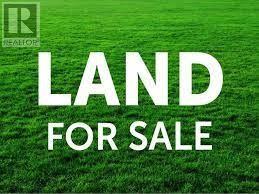 121-129 Serpentine Rd, Mount Moriah, NL A0L 1J0